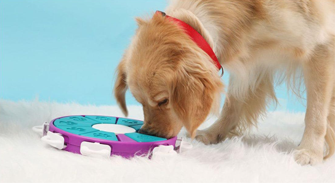 Interactive Dog Brain Game – Treat Puzzle Toy