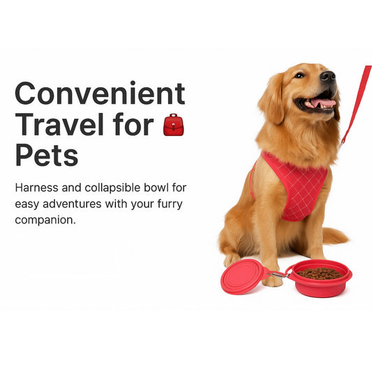 Pet Travel Kit – Harness + Collapsible Bowl