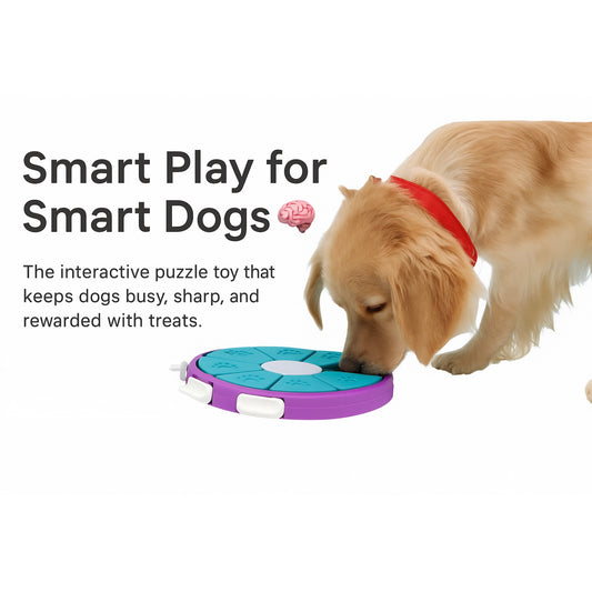 Interactive Dog Brain Game – Treat Puzzle Toy